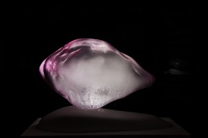 dsc_9826_1-copia
